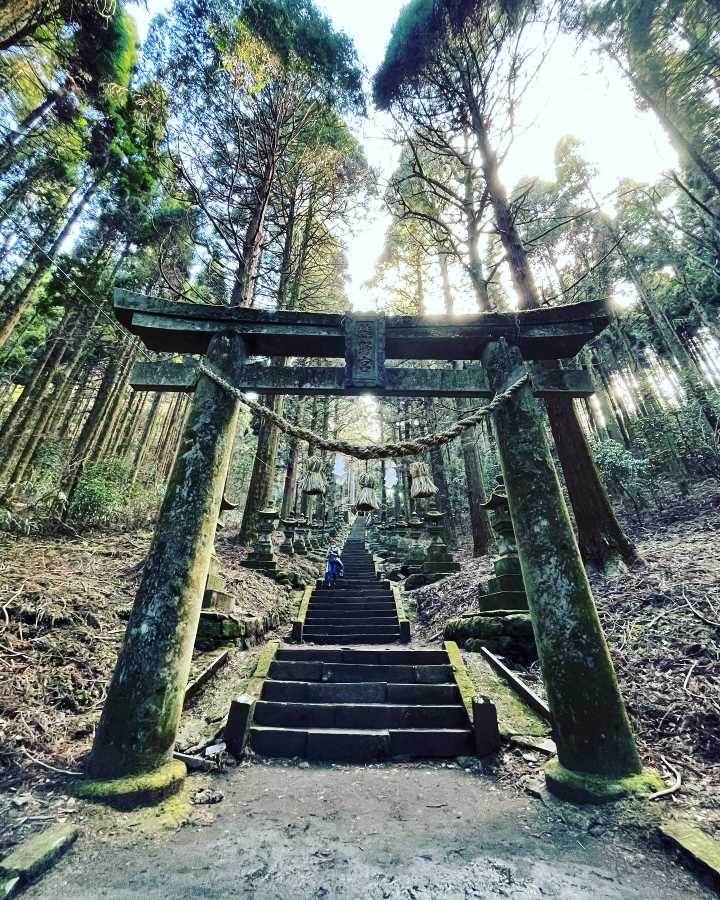 【熊本景點】上色見熊野座神社～原始林木靜謐神秘感的熊本秘境